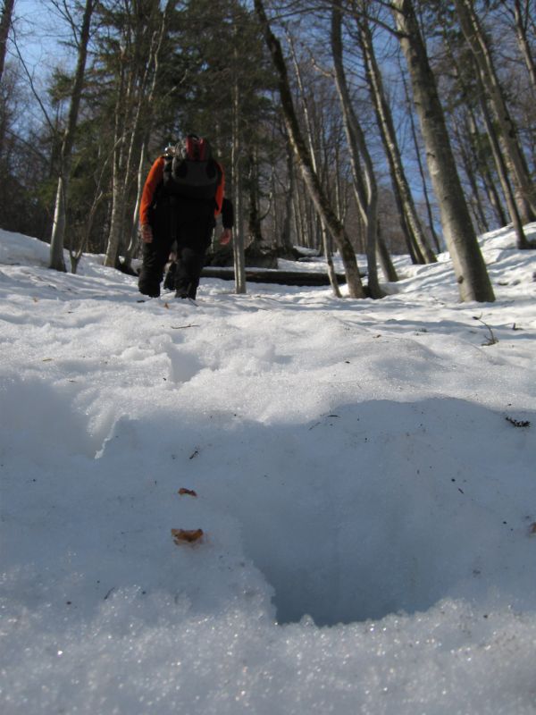 2009-04-13 Stripsenkopf (07)...mehr Schnee